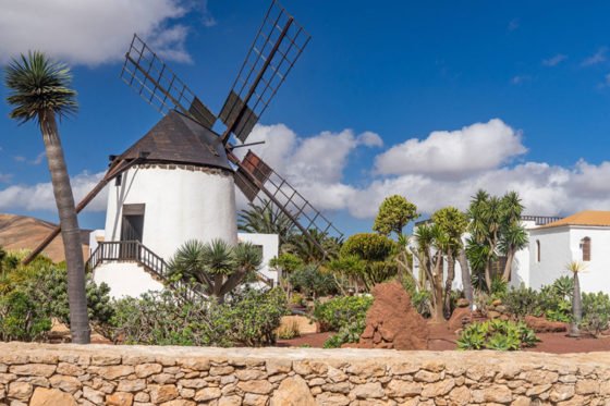 Cheese Museum in Canary Islands