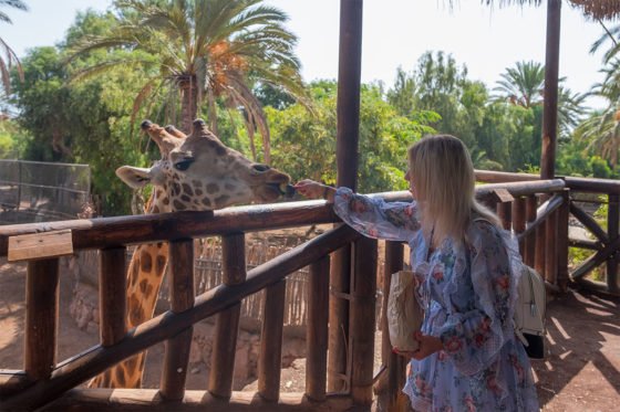 Oasis Park Fuerteventura in Canary Islands