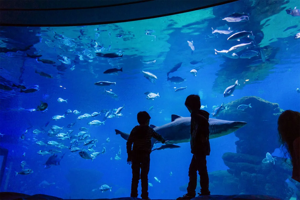 Aerial view of Palma Aquarium, a family-friendly attraction in Mallorca
