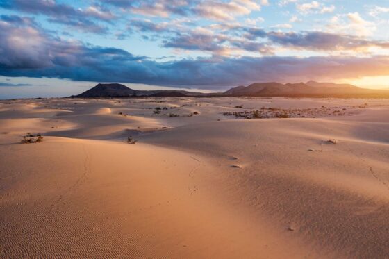 Aerial view of Corralejo Natural Park in Canary Islands