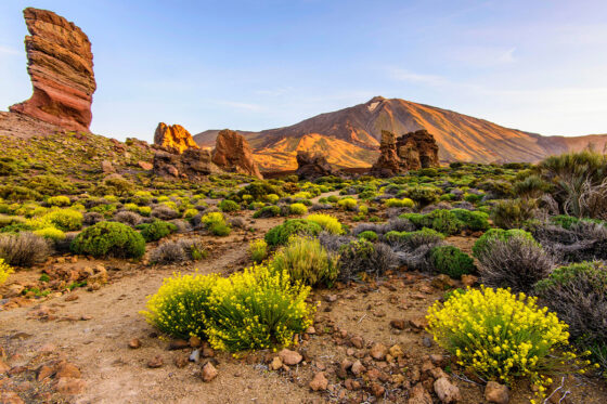 Teide National Park