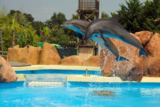 Explore Marineland Mallorca