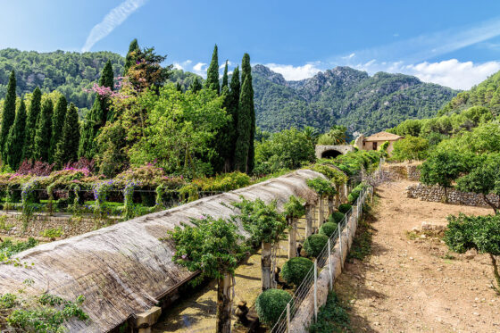 A garden in the Serra de Tramuntana mountain range in Mallorca, Spain