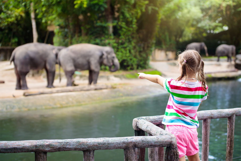 A girl having a successful mixture of fun and learning at the Safari Zoo Mallorca