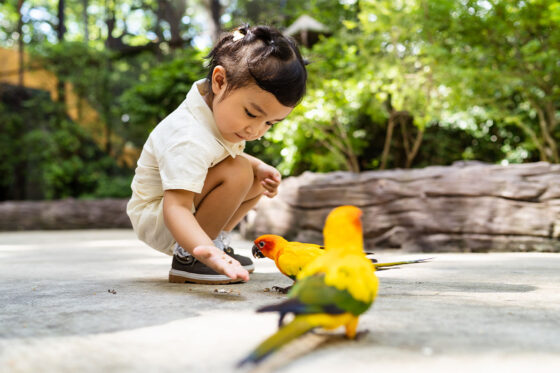 A little girl exploring the Safari Zoo Mallorca