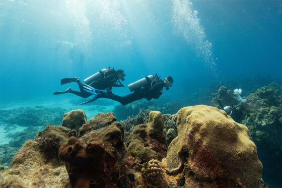 A picture of scuba diving in Costa Blanca, Spain, with several scuba diving schools