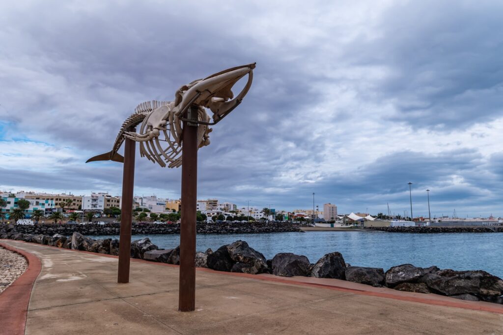 A whale skeleton on the seafront promenade is one of the most unusual sights in Puerto del Rosario