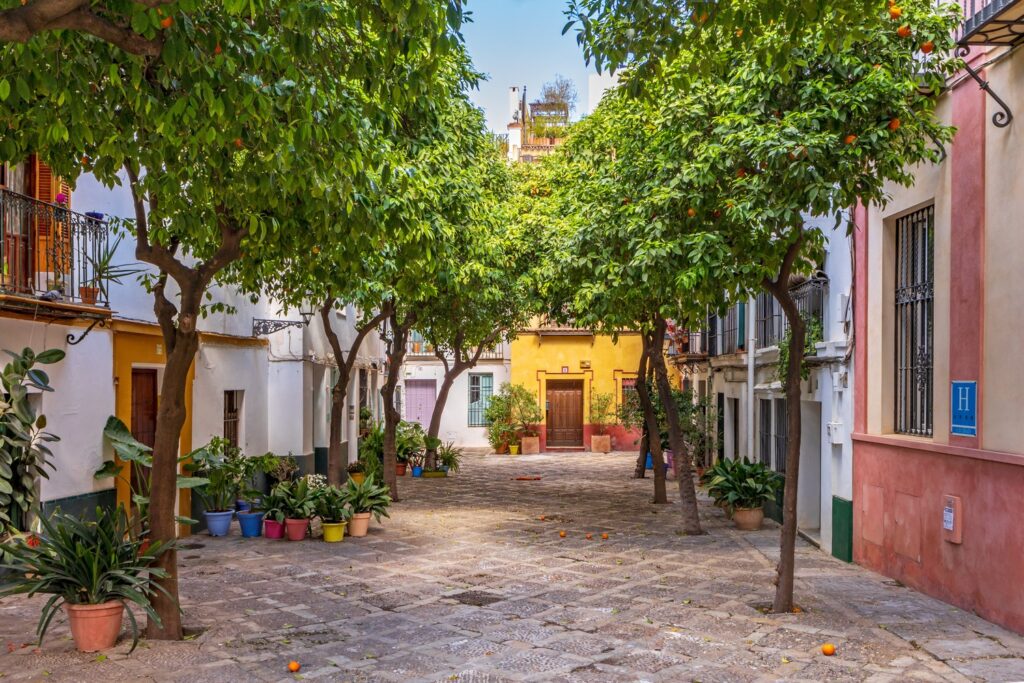 Small squares lined with orange trees make Barrio de Santa Cruz a delight to explore