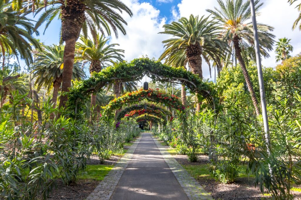 Shady paths lined with palm trees lead through García Sanabria Park in the heart of Santa Cruz