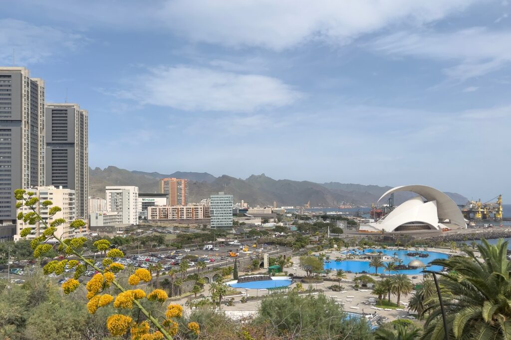 From the Palmetum botanical garden you get wide views over Santa Cruz and the Auditorio de Tenerife